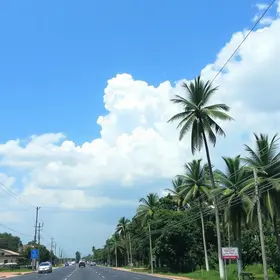 Teresina registra 38,7°C e tem a maior temperatura entre capitais do Nordeste nesta quinta (20)