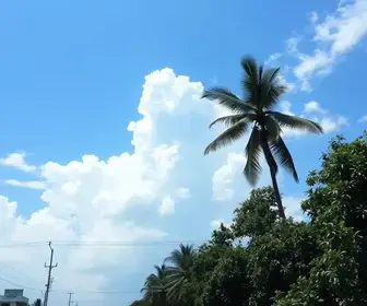 Após registrar quase 44ºC e alcançar a maior temperatura do país, calor deve seguir intenso em Teresina