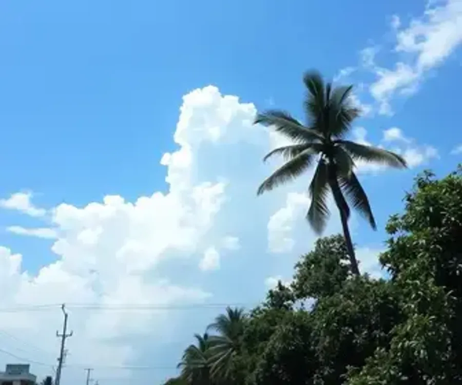 Após registrar quase 44ºC e alcançar a maior temperatura do país, calor deve seguir intenso em Teresina